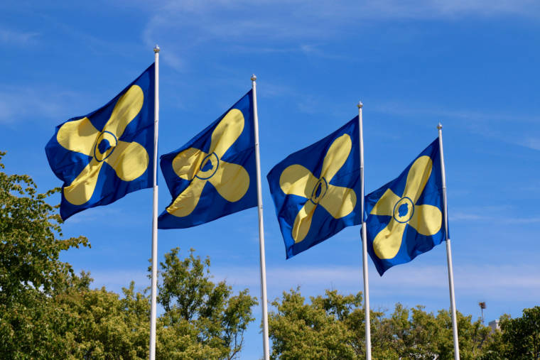 Neljä lippua, joissa on Kemiönsaaren kunnan vaakuna.