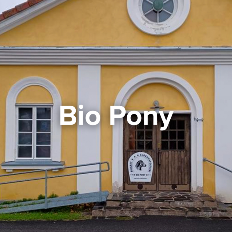 Bild på Bio Ponys byggnad