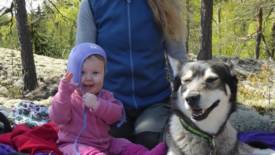 Bildgalleri Bild 3/5