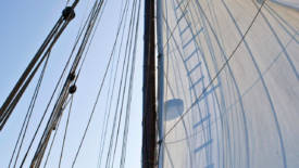 Photo gallery Image 1/3