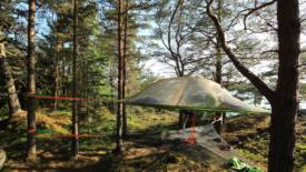 Bildgalleri Bild 2/2