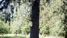 Bildgalleri Bild 2/5