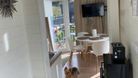 Bildgalleri Bild 9/12