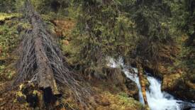 Photo gallery Image 2/2