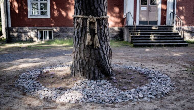 Haltiapuu, Mänty. Helmin koristeltu juuttiköysi, kivikehä ja kangasajuruohoa Kubun pyhän haltiapuun ympärillä.
