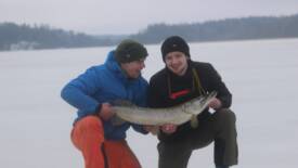 Bildgalleri Bild 7/12