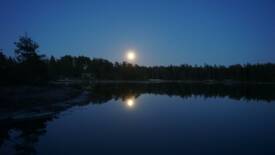Bildgalleri Bild 7/7