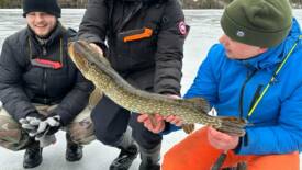 Bildgalleri Bild 4/12
